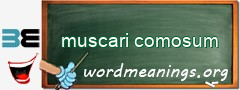 WordMeaning blackboard for muscari comosum